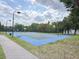 Outdoor basketball court featuring blue and green surface, lighting, and surrounded by trees at 2604 Lodi Cir # 103, Kissimmee, FL 34746
