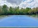 Bright blue outdoor tennis court with net, benches, and fencing surrounded by trees at 2604 Lodi Cir # 103, Kissimmee, FL 34746