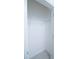 White, empty closet with wire shelving at 30376 Armenia Rd, Leesburg, FL 34748