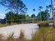 Sand volleyball court with a view of swaying palm trees and blue skies at 4726 Ormond Beach Way, Kissimmee, FL 34746