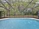 Close up view of the rectangular in-ground pool with blue water and a screen enclosure at 876 Lobster Ct, Kissimmee, FL 34744