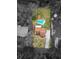 Black and white aerial view highlighting a backyard, a house, a long driveway, a cabana and a pool at 9916 Jackson Rd, Leesburg, FL 34788