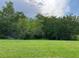 Expansive green lawn with mature trees, offering a peaceful and secluded backyard setting at 619 Tapatio Ln, Kissimmee, FL 34759