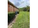 Spacious backyard featuring healthy green grass, trimmed bushes, and access to a lush natural landscape at 619 Tapatio Ln, Kissimmee, FL 34759