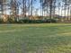 A spacious backyard with healthy green grass and privacy provided by tall trees at 11115 Sw 54Th Cir, Ocala, FL 34476