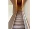 Carpeted staircase with white handrail leading to the upper level of the home at 2040 Milkweed St, Ocoee, FL 34761