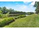 Scenic view of the backyard pond with lush greenery, trees, and aquatic plants adding a tranquil landscape at 304 Acadia Ln, Celebration, FL 34747