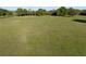 Expansive green field, great for development or recreation with mature trees in the background at 3161 Appaloosa Ct, Kissimmee, FL 34746