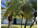 View of the home's garage and front door through tropical palm trees on a sunny day at 3874 Blackberry Cir, St Cloud, FL 34769