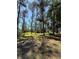 View of grass backyard with many trees at 50989 Highway 27 # 210, Davenport, FL 33897