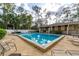 Sunny community pool edged with lounge chairs and verdant plants at 845 Orchid Springs Dr, Winter Haven, FL 33884