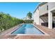 Private backyard pool with a brick surround, tall privacy hedges, and a palm tree at 8498 Powder Ridge Trl, Windermere, FL 34786