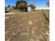 Backyard with outbuilding and chainlink fence at 1149 E Grove Ave, Lake Wales, FL 33853