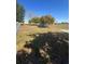 Spacious backyard with a shed at 1149 E Grove Ave, Lake Wales, FL 33853