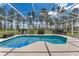 Enclosed pool and patio area with an adjacent, beautifully landscaped backyard at 310 N Hampton Dr, Davenport, FL 33897
