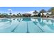 A bright swimming pool with lane lines and palm trees features a tiki bar steps away for refreshments at 8817 Cruden Bay Ct, Davenport, FL 33896