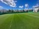 The outdoor soccer field offers a fun space for recreation and exercise with a view of the neighborhood at 8817 Cruden Bay Ct, Davenport, FL 33896