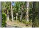 Lush, private backyard framed by palm trees and foliage, visible through a screened enclosure at 2621 Corvette Lane, Kissimmee, FL 34746