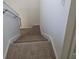 Carpeted staircase with white handrail leading downstairs at 2921 Puerta Del Sol Blvd, Kissimmee, FL 34744