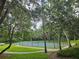 A blue tennis court is surrounded by mature trees and green grass for a park-like setting at 2921 Puerta Del Sol Blvd, Kissimmee, FL 34744