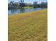 Lawn leading to a pond and trees with a bridge in the background at 4032 Bougainvillea Pl, Kissimmee, FL 34746