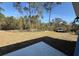 Large, grassy backyard, partially shaded by tall pine trees, offers plenty of space for outdoor activities at 4863 Sw 159Th Ln Rd, Ocala, FL 34473