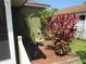 Landscaped yard features lush plants, mulch ground cover, and a birdbath, enhancing the green-walled house exterior at 1155 Roan Ct, Kissimmee, FL 34759