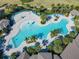 Aerial view of the community pool featuring lounge chairs and palm tree accents at 12035 Holystone St, Winter Garden, FL 34787