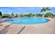 A refreshing pool with palm trees, lush landscaping, and stairs to enter at 121 Fitzgerald Ln, Davenport, FL 33837