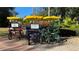Colorful surrey bikes with canopies, parked by a pathway, offering fun transportation around the resort at 1506 Euston Dr, Reunion, FL 34747