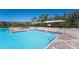 Outdoor pool and patio area surrounded by palm trees and greenery at 1599 Thetford Cir, Orlando, FL 32824