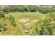 Aerial view of baseball field surrounded by green trees and foliage, with home plate in the center at 2801 Palmyra Ct, St Cloud, FL 34772