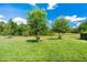 Lush backyard with a well-maintained lawn, mature trees, and plenty of space for outdoor activities at 3447 Feathergrass Ct, Harmony, FL 34773