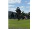 Dog park featuring green space and play structures, enclosed with black metal fencing at 6608 Harper Way, Harmony, FL 34773
