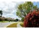 Street view of neighborhood and lush landscaping at 786 Seneca Meadows Rd, Winter Springs, FL 32708