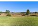 Scenic backyard view featuring lush greenery, trees, and a tranquil pond at 2017 Camden Loop, Davenport, FL 33837