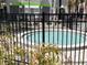 Community hot tub surrounded by lush landscaping and a secure black metal fence at 3100 Parkway Blvd # 113, Kissimmee, FL 34747