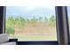 View from the screened patio of the lush green grass and landscaping outside at 333 Almansa St, Davenport, FL 33837
