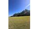 Expansive green space bordered by pine trees under a clear blue sky at 377 Holly Berry Dr, Davenport, FL 33897