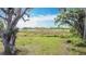 View of property's lush backyard featuring a large oak tree and view of the lake at 420 Ketch Rd, St Cloud, FL 34771