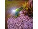 Landscaping featuring decorative rock, tropical plants, and landscape lighting at 572 Nogales Ct, Kissimmee, FL 34758