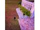 Landscaping featuring decorative rock, tropical plants, landscape lighting, and unique tilework accents at 572 Nogales Ct, Kissimmee, FL 34758