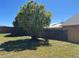 A spacious backyard with a lush green lawn and shade tree along a wooden fence at 633 Cypress Tree Ct, Orlando, FL 32825