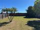 Large backyard featuring a brick fence, lush lawn, and three palm trees at 633 Cypress Tree Ct, Orlando, FL 32825