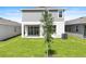 A newly planted tree in the green backyard of a home, with grassy yard between neighbors at 6393 Clover St, Lake Hamilton, FL 33851