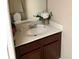 Bathroom with a mirror, vanity with dark wood cabinetry, and a bouquet of white flowers adding a touch of elegance at 4710 Nathan Hale Blvd, St Cloud, FL 34769