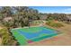Aerial view of a basketball court and shuffleboard in a landscaped area with trees and garden at 1005 Salamanca Pl, Davenport, FL 33837