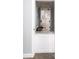 Image features a Carrier furnace inside a small utility closet at 11456 Rhyme Ave, Orlando, FL 32832