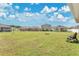 Sprawling backyard with a lush lawn, distant view of houses, and mature landscaping at 1507 Bitteroot St, Kissimmee, FL 34744