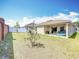 Expansive backyard featuring a well-maintained lawn and privacy fence, perfect for outdoor enjoyment at 16588 Centipede St, Clermont, FL 34714